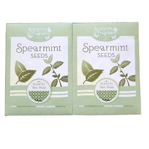 Disney EPCOT 2023 Flower & Garden SCENTSY Mint Fields Spearmint SEEDS 2 Packs